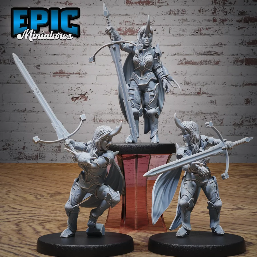 Insect Knight Lady Set