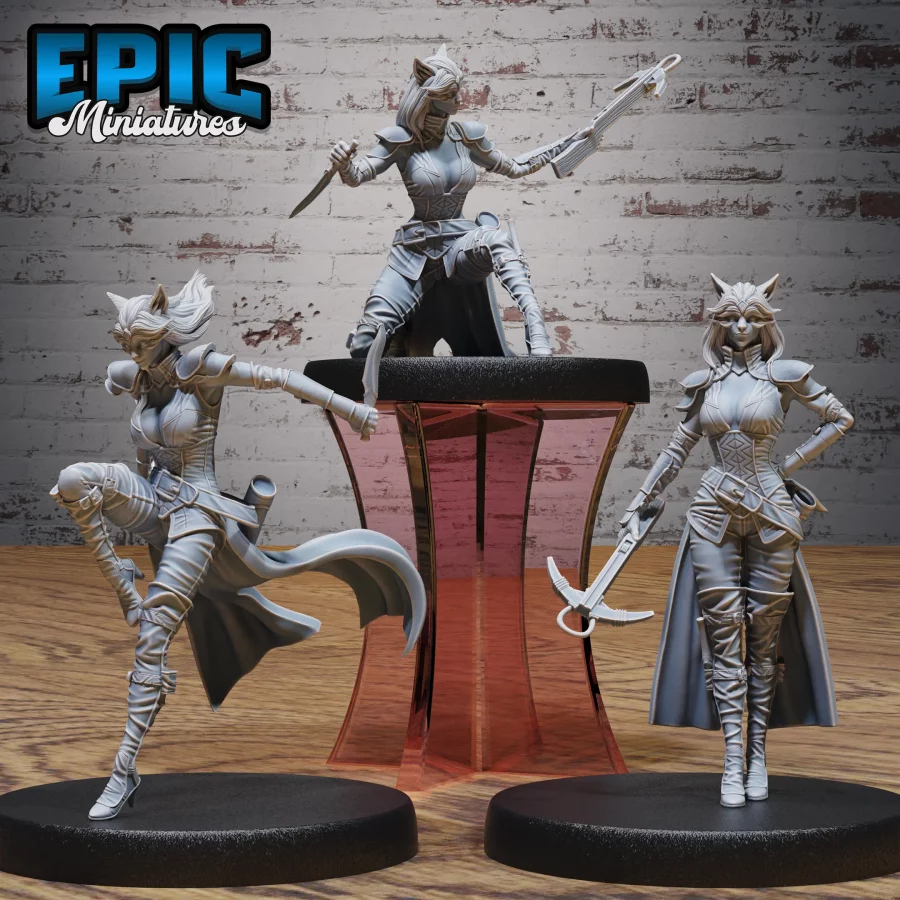 Cat Burglar Rogue Set
