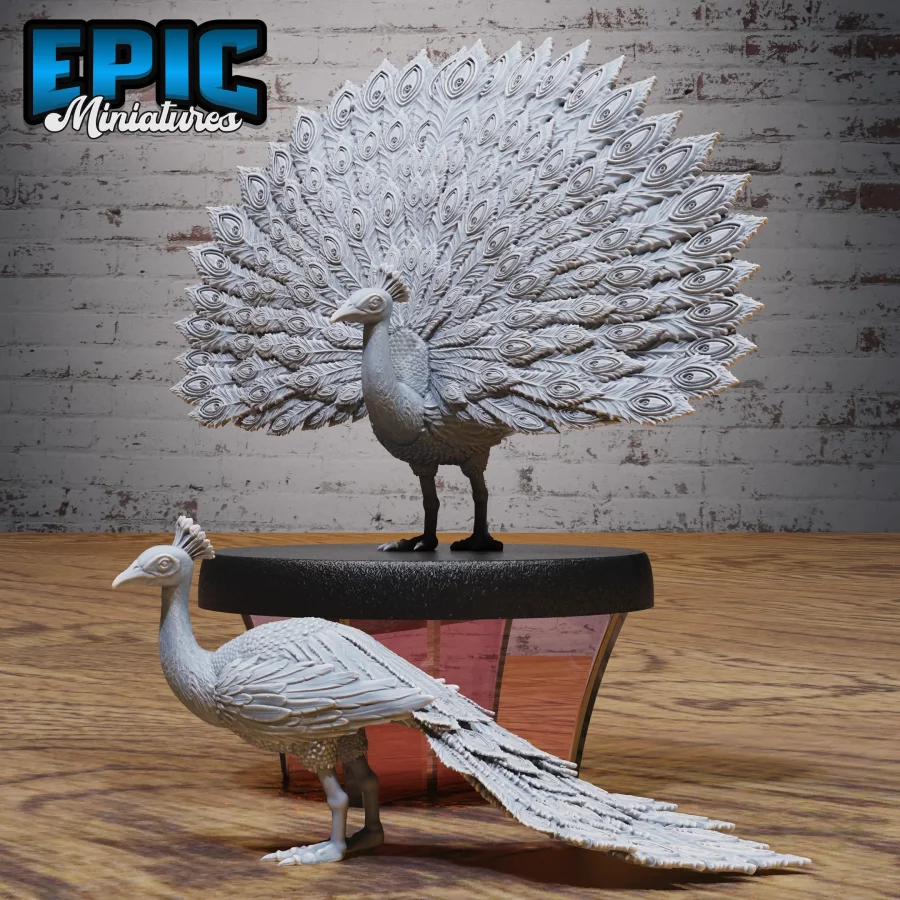 Peacock / Peacock Tail Set