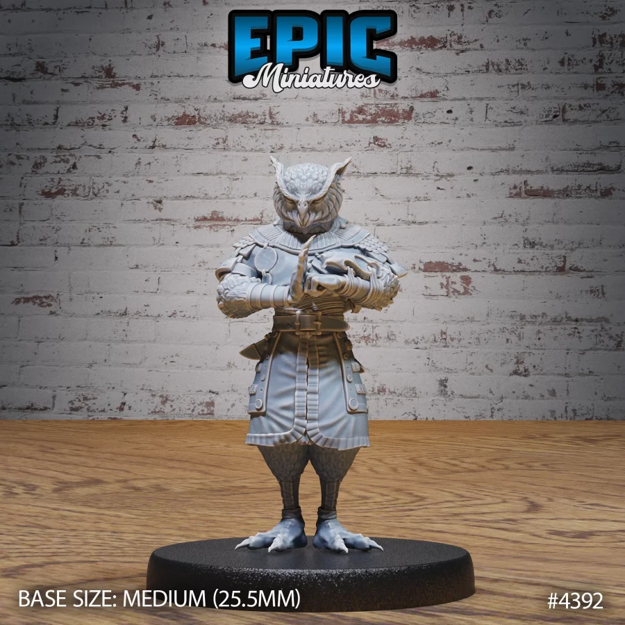Owl Folk Monk Pray (Medium)