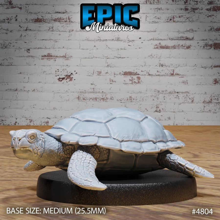 Sea Turtle - 2 Variations (Medium) - Image 2