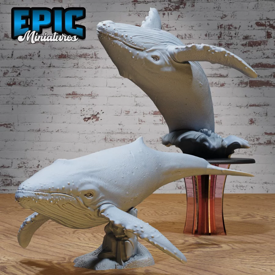 Humpback Whale / Humpback Whale Jump Set