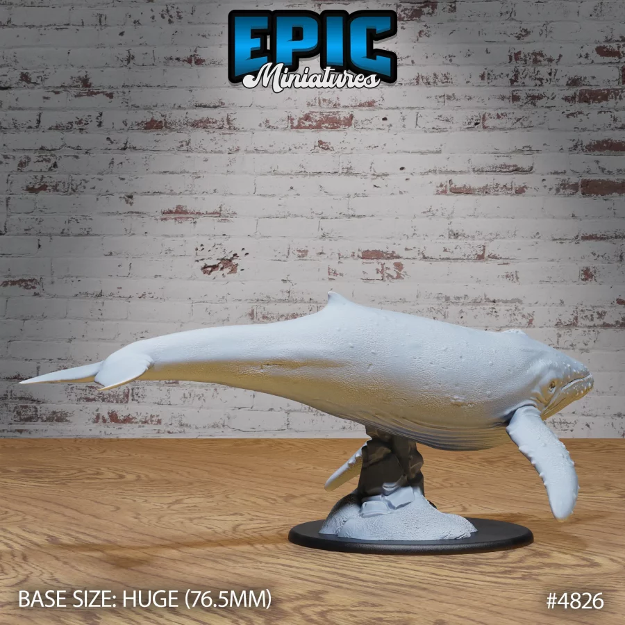 Humpback Whale (Huge) - Image 2