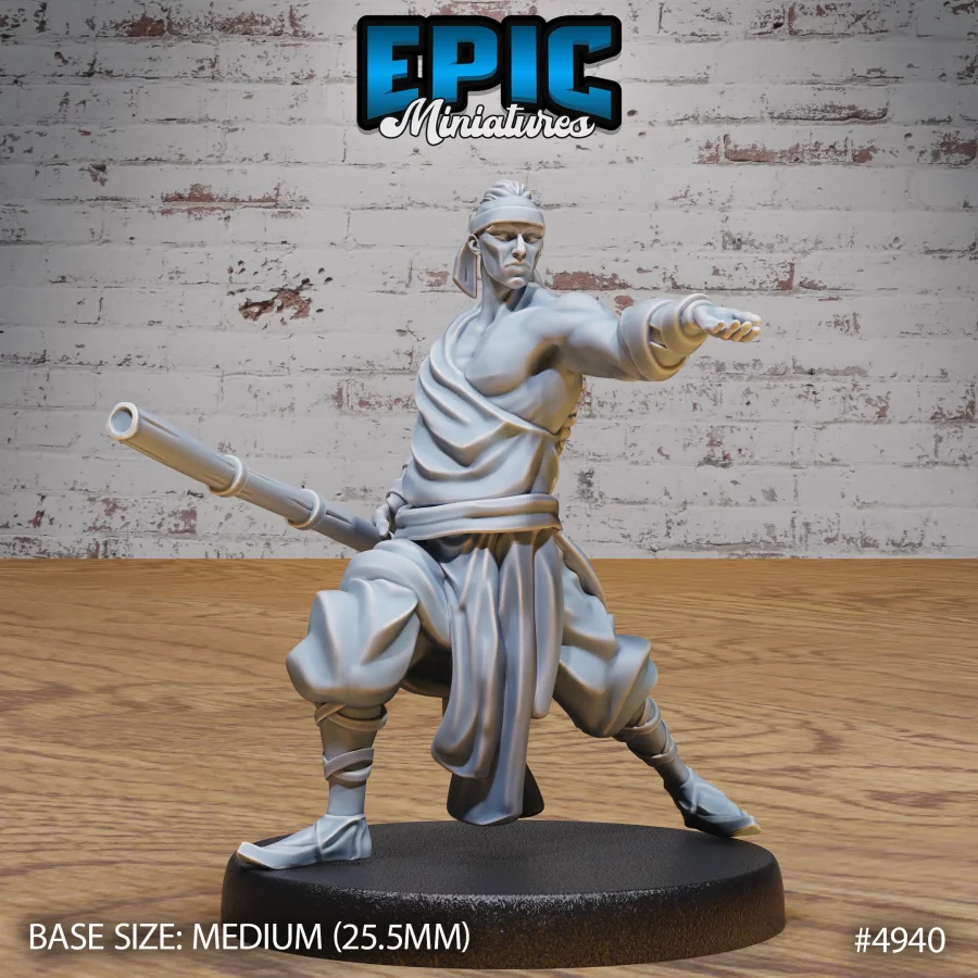 Martial Arts Monk Provoke (Medium)