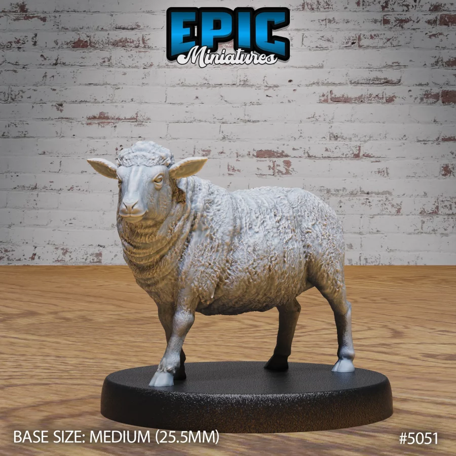 Sheep (Medium)