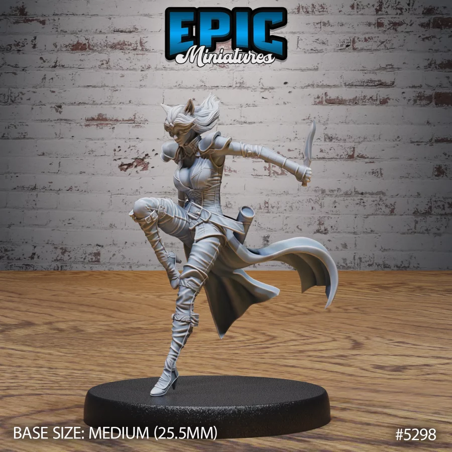 Cat Burglar Rogue Set - Image 4