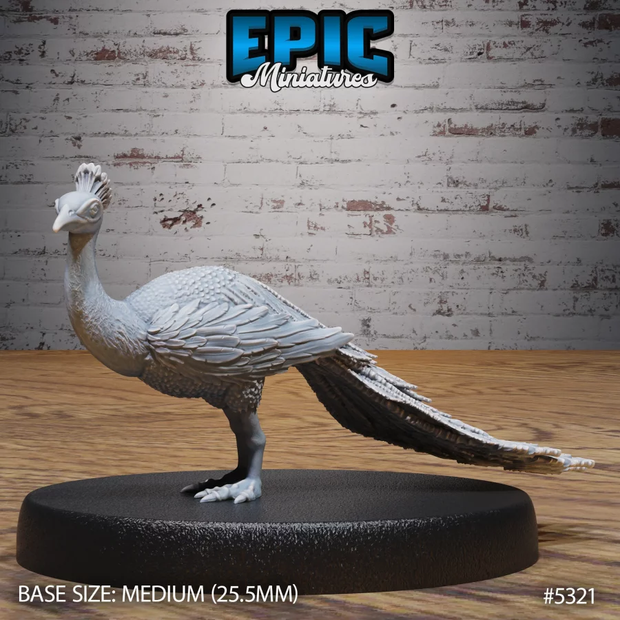 Peacock (Medium)