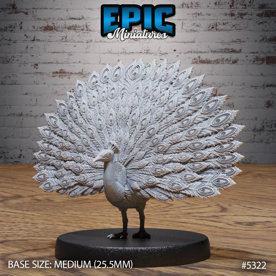 Peacock / Peacock Tail Set - Image 4