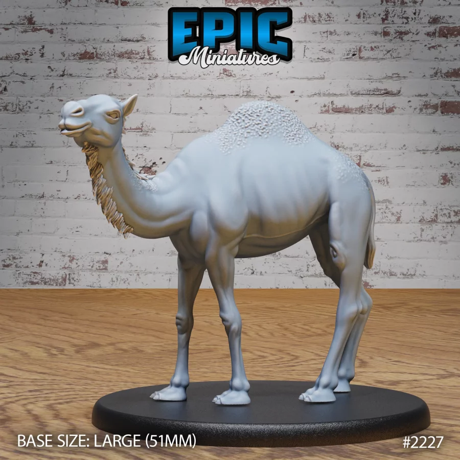 Camel Wild (Large)