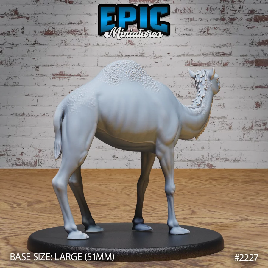 Camel Wild (Large) - Image 2
