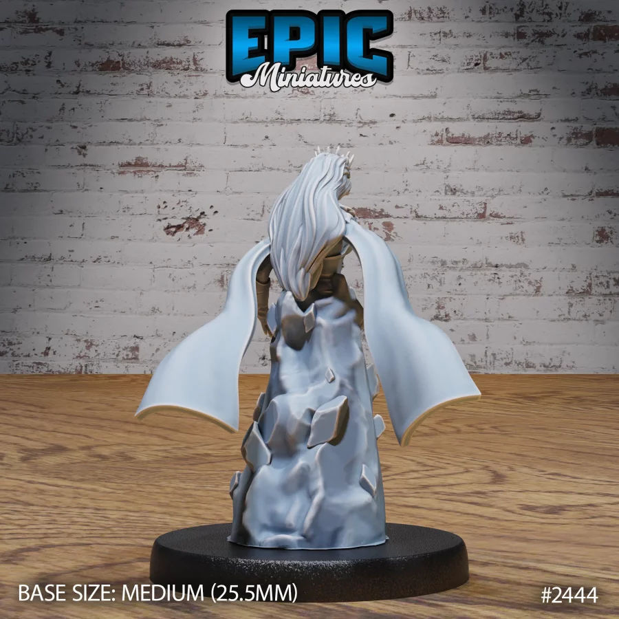 Ice Sorceress Forst Shield (Medium) - Image 2
