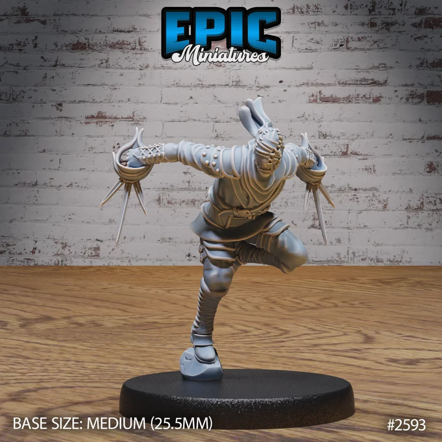 Vampire Assassin Attacking (Medium)
