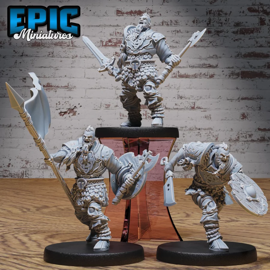 Viking Invader Set