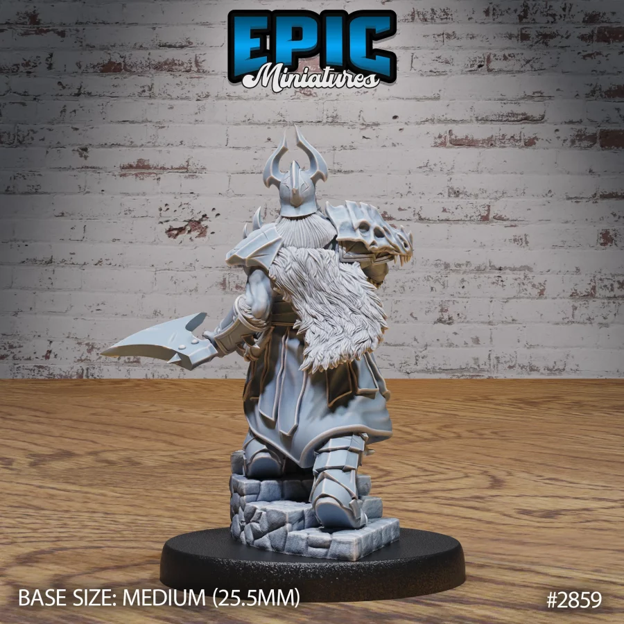 Viking Einherjar Set - Image 3