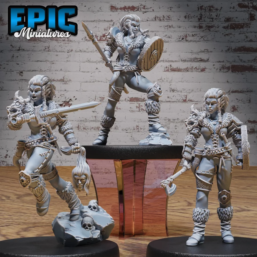 Viking Shieldmaiden Lathgertha Set