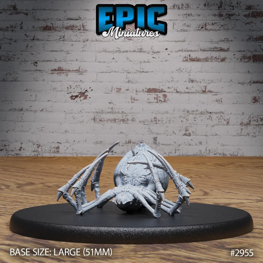 Giant Dungeon Spider Dead (Large)