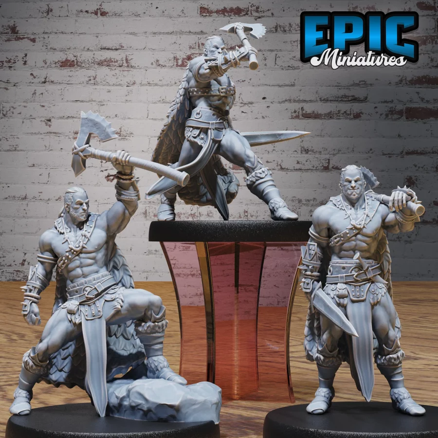 Barbarian Player Character Set