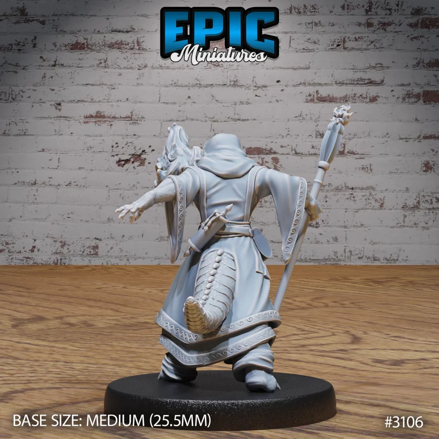 Half Dragon Sorcerer Player Character Set - Image 7