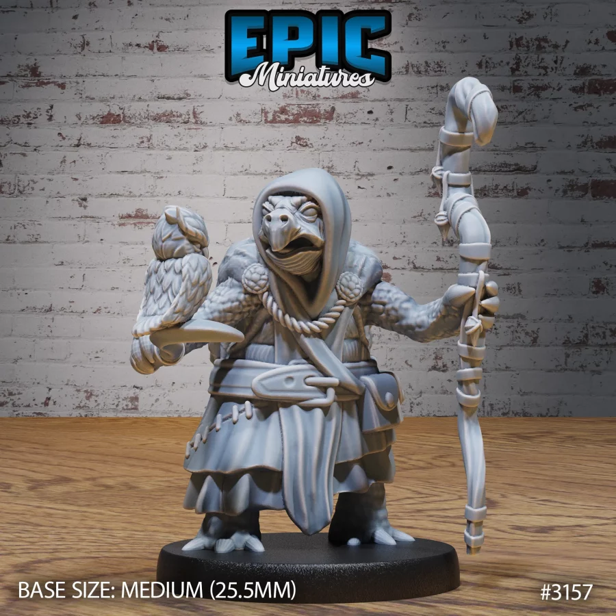 Turtle Folk Tribe Druid (Medium)