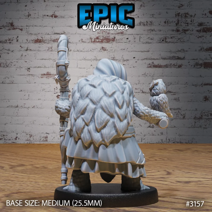 Turtle Folk Tribe Druid (Medium) - Image 2