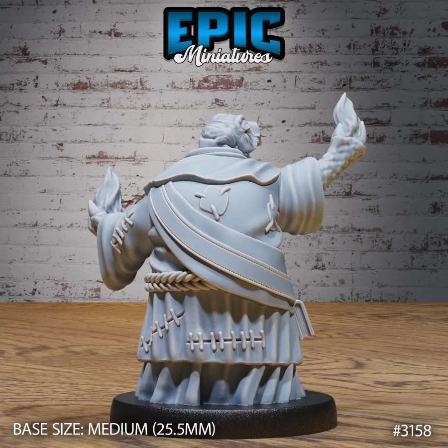 Turtle Folk Tribe Cleric (Medium) - Image 2