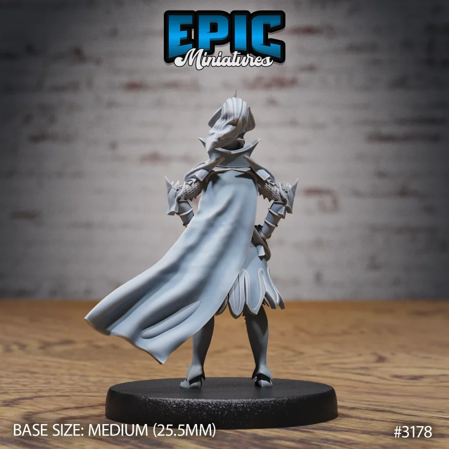 Hunters Guild Female Knight (Medium) - Image 2