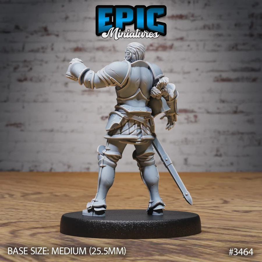 Knight Sir Tristan Set - Image 7