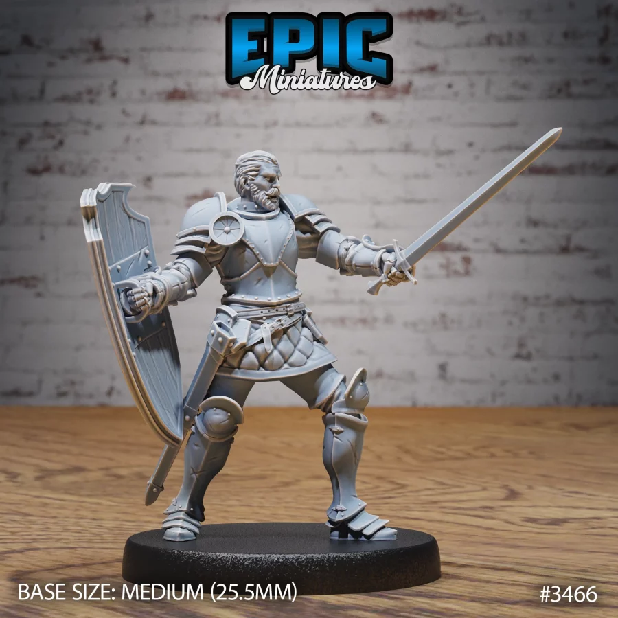 Knight Sir Tristan Set - Image 10