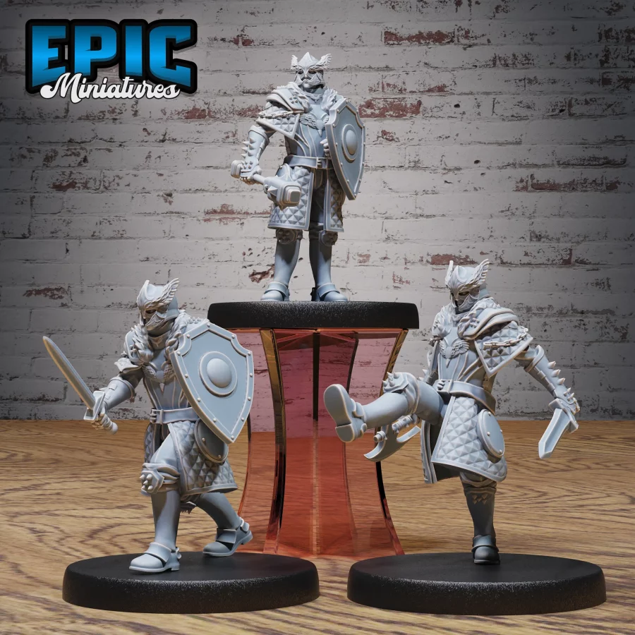 Knight Sir Rollant Set