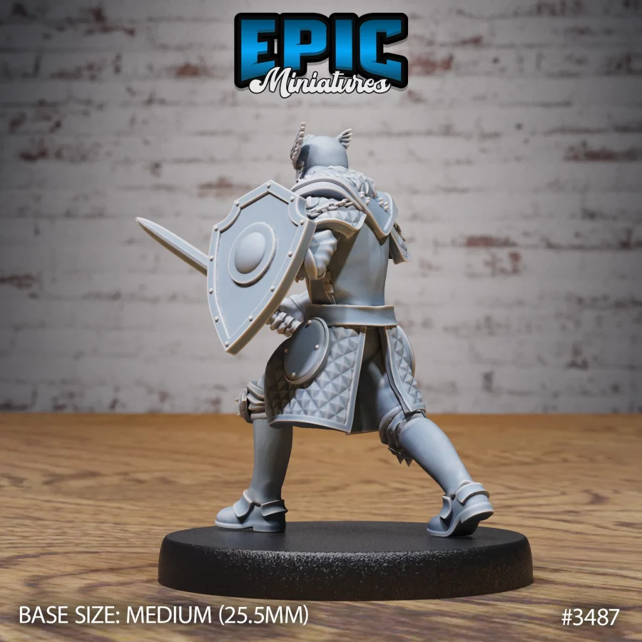 Knight Sir Rollant Set - Image 5