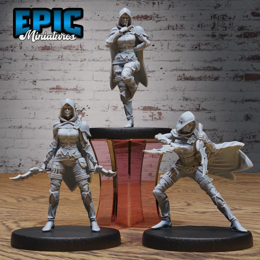 Elf Guild Rogue Set