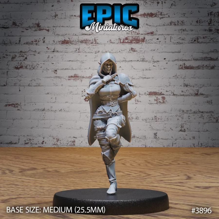 Elf Guild Rogue Stance (Medium)