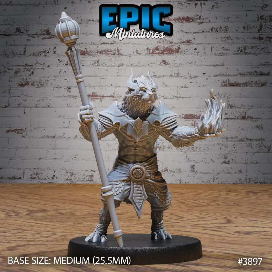 Rakshasa Sorcerer (Medium)