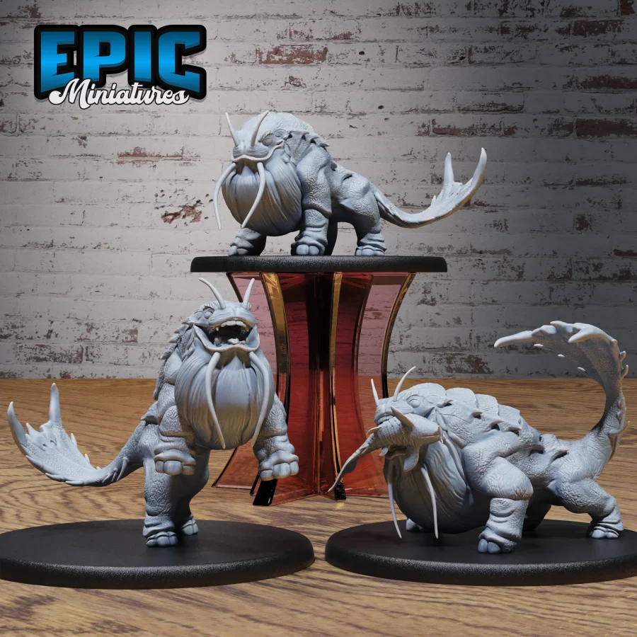 Whale Cat Set