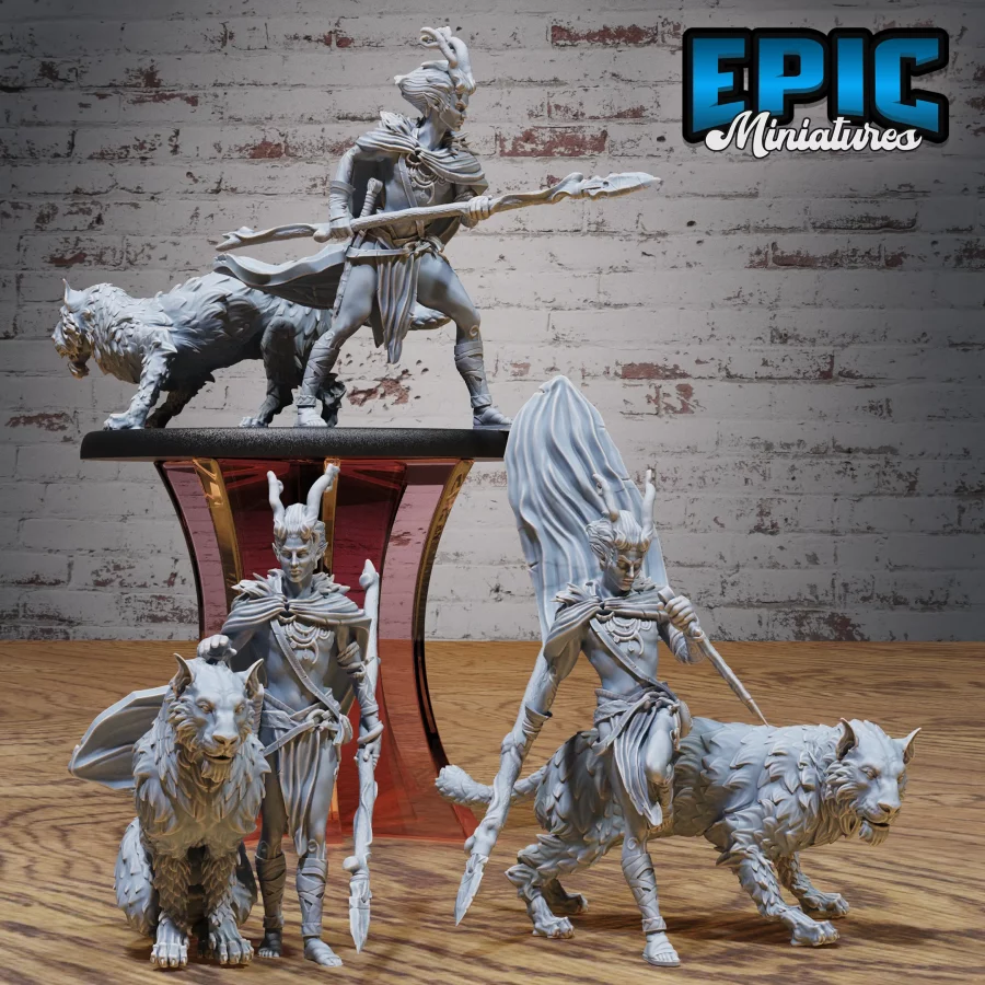 Elf Beast Tamer Set