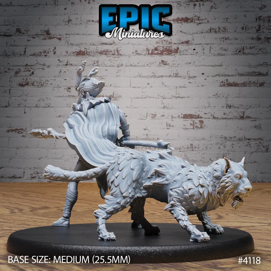 Elf Beast Tamer (Medium) - Image 2
