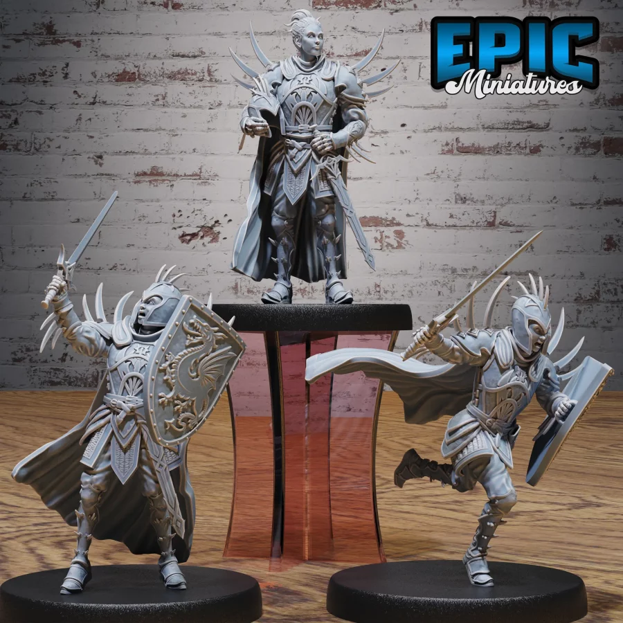 Dragon Huntress Knight Set