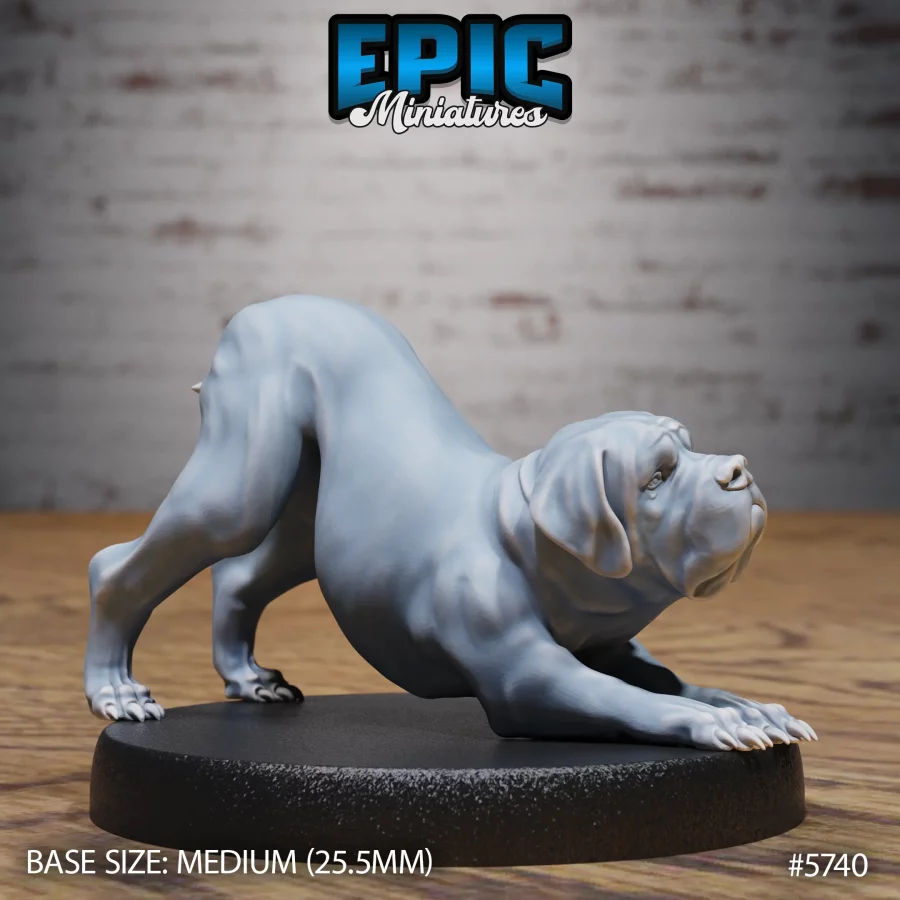 Mastiff War Dog Stretch (Medium)