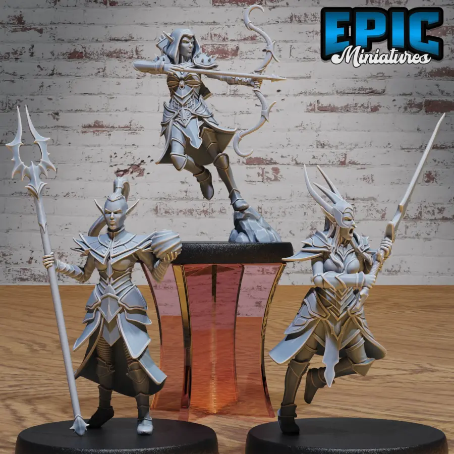 Dark Elf Army Longsword / Dark Elf Army Archer / Dark Elf Army Sorceress Set
