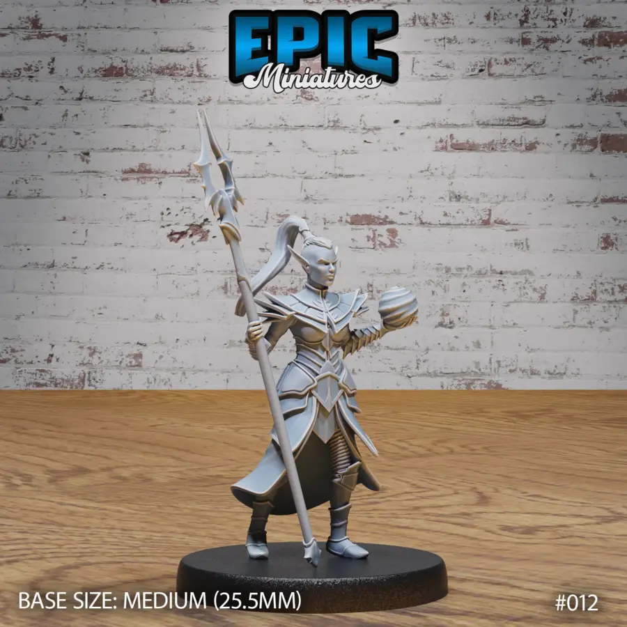 Dark Elf Army Sorceress (Medium)