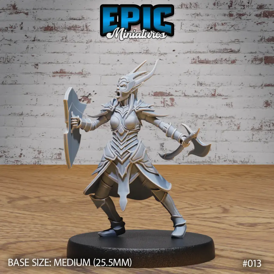 Dark Elf Army Axe & Shield (Medium)