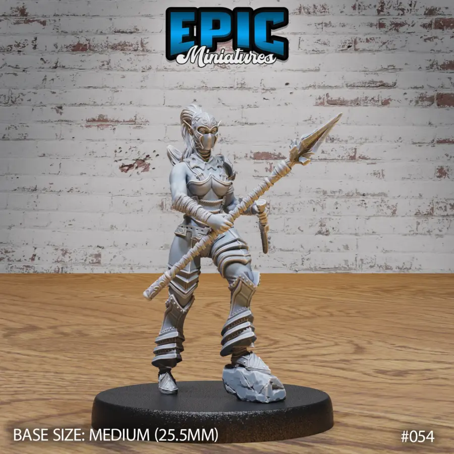 Dark Elf Gladiator Female (Medium)
