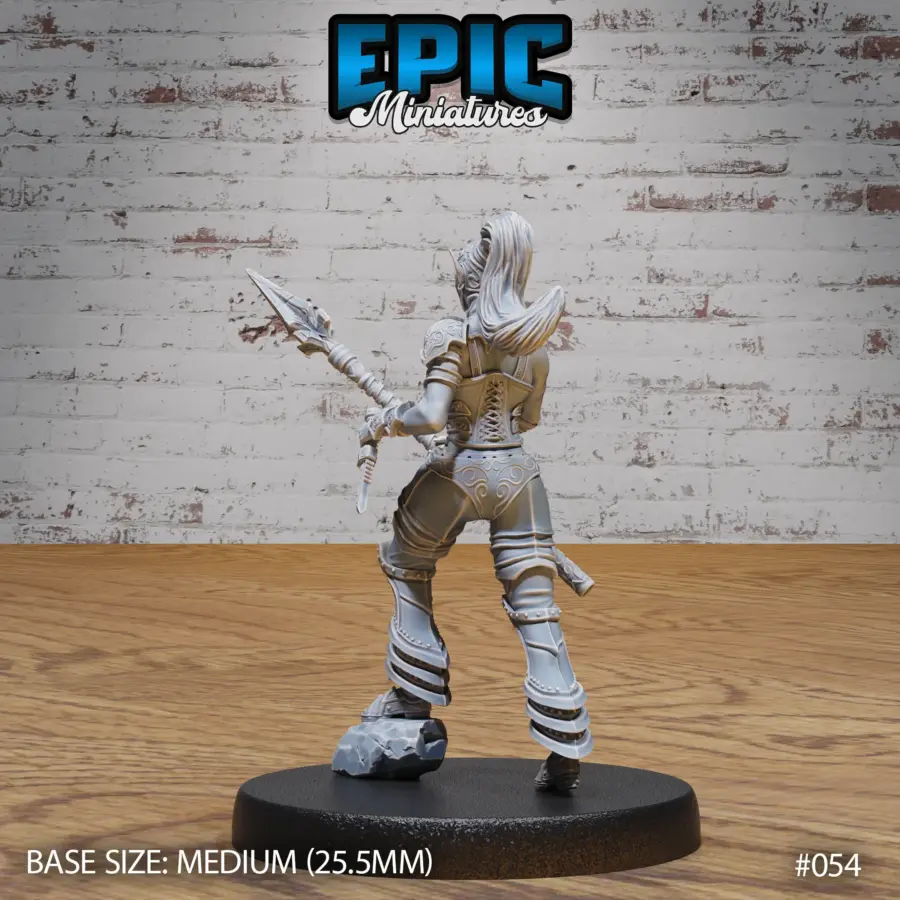 Dark Elf Gladiator Female Set - Image 3