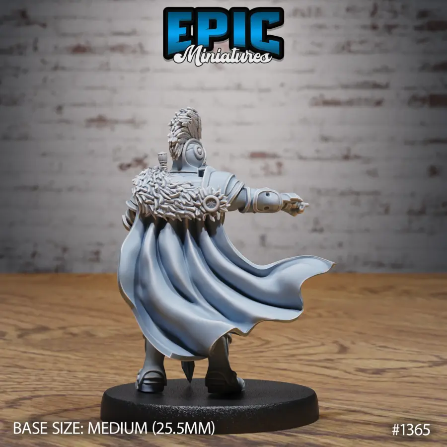 Castle Knight Pointing / Castle Knight Attacking / Castle Knight Guard Set - Image 3