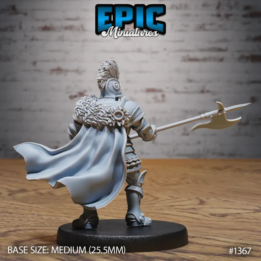 Castle Knight Pointing / Castle Knight Attacking / Castle Knight Guard Set - Image 7