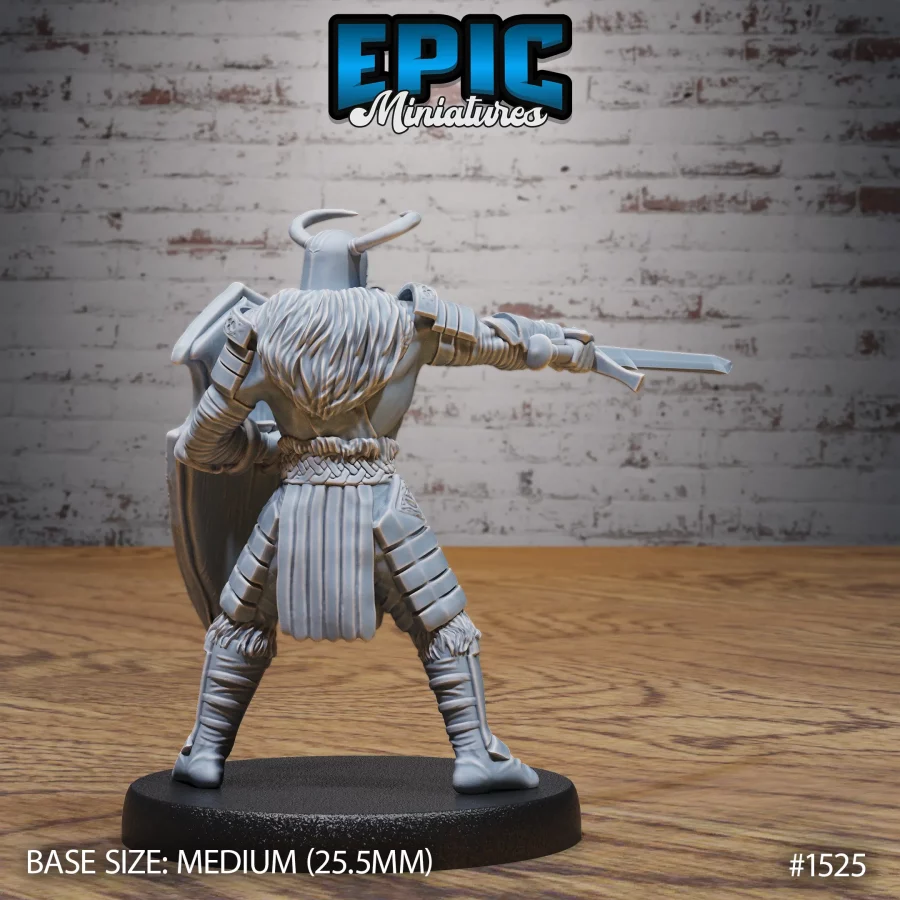 Helmed Barbarian Sword & Shield (Medium) - Image 2