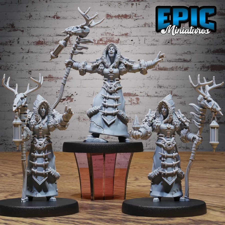 Winter Shaman Set