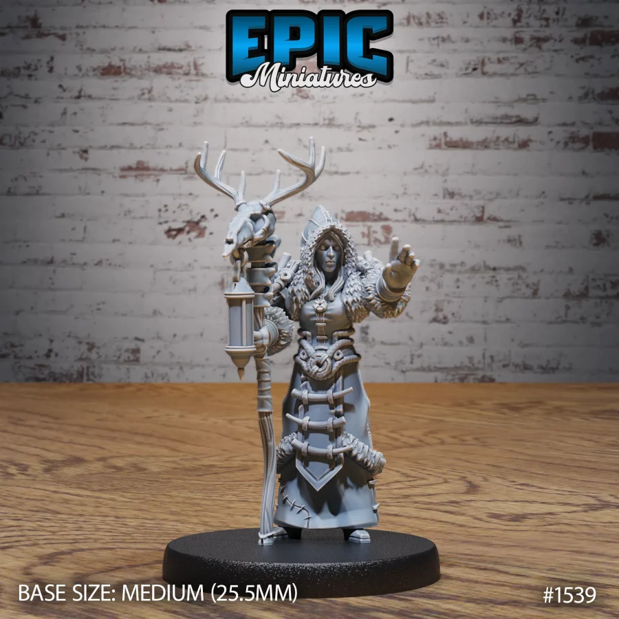 Winter Shaman (Medium)