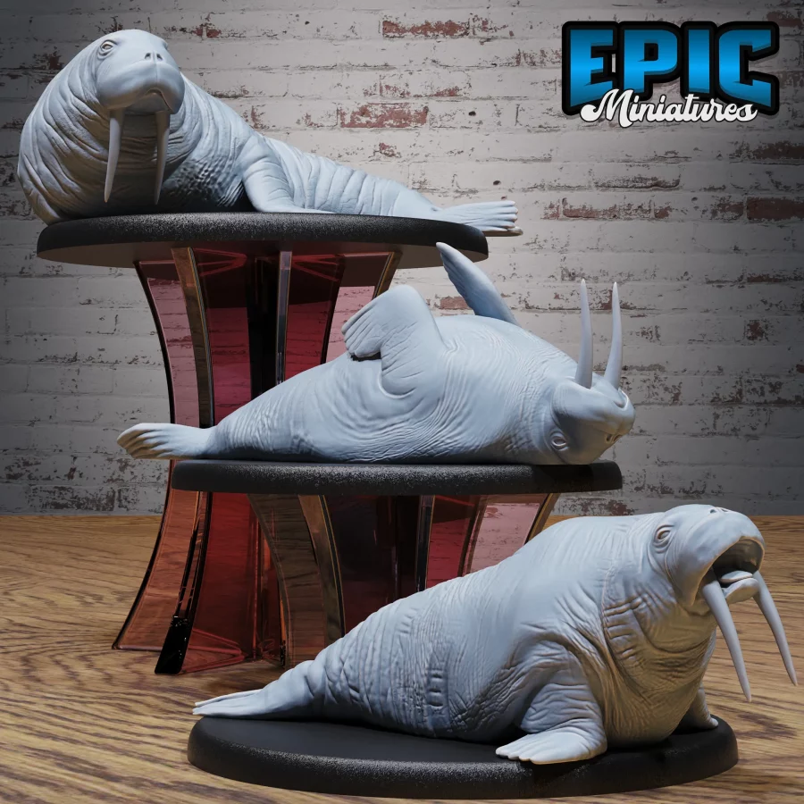 Walrus Set