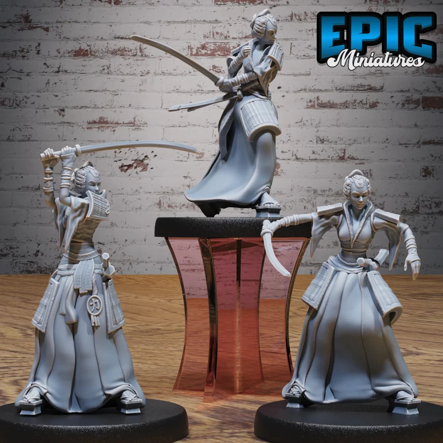 Samurai Female Set